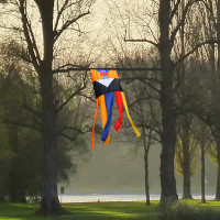 p1070642  fahne konig am rhein bei karlsruhe